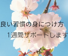 良い習慣の身につけ方を1週間サポートします イメージ1