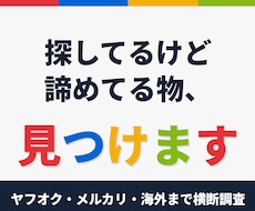 何でも探します｜探してるけど諦めてる物見つけます イメージ1