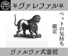 ヴァレファルの力でペットと対話し絆を深めます ヴァレファルがペットとの相性、改善策を視る