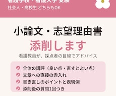 看護学校の小論文・志望理由書を看護教員が添削します イメージ1