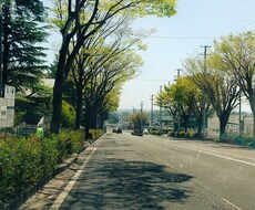 フリー保育士をしています。お話しおききします イメージ1