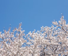 転職についてのバーチャルお悩み相談受け付けます キャリアプランは必要ありません！