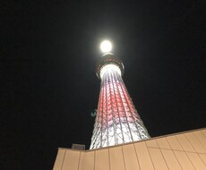 恋愛について相談やアドバイスさせていただきますます イメージ1
