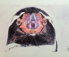 主にペンギンを描いてます イメージ1