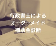 あなたに最適な補助金を行政書士が診断します すぐに使える補助金から今後検討すべき補助金まで幅広く診断