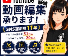 お急ぎでもOKです！動画編集承ります YouTube登録者51万人の運営経験！修正依頼もOKです！