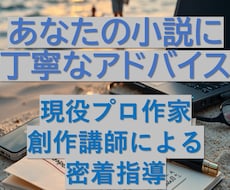 プロ小説家が小説作品を声と文字で密着集中指導します イメージ1