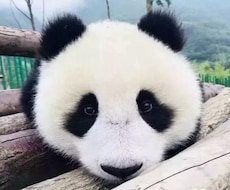 中国語会話レッスンいたします イメージ1