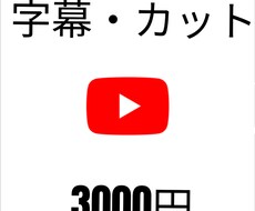字幕とカットをします イメージ1