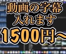 動画の字幕つけます イメージ1