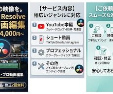 DaVinciで動画編集し、納品します