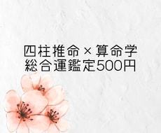 500円で四柱推命×算命学で総合運を占います イメージ1