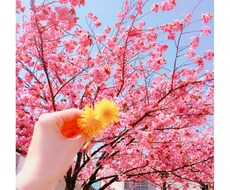 あなたにとっての癒しになります イメージ1