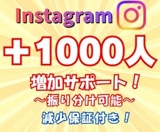 Instagramフォロワー1000人増やします イメージ1