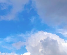 今世生まれた目的を鑑定致します イメージ1