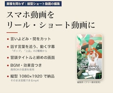 スマホ動画をリール・ショート動画に編集します イメージ1