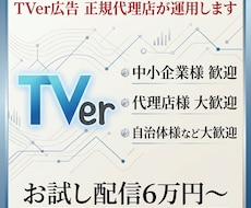 正規代理店が運用 TVer広告 お試しできます イメージ1