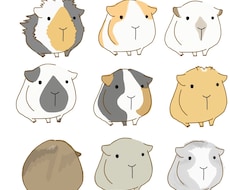 あなたの大切なペットをかわいいイラストにします イメージ1