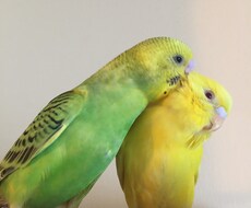 どんな愚痴、不満もききます イメージ1