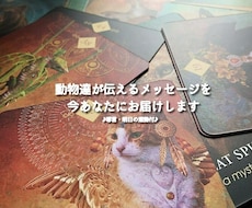 動物達が伝えるメッセージを、今あなたにお届けします →"今"と"これから"へのメッセージ♪導言・明日の運勢付♪