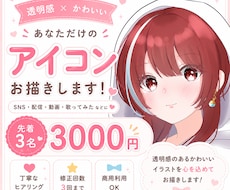 先着3名限定価格！アイコンイラスト描きます イメージ1