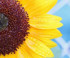 データ入力、代行致します。ます イメージ1