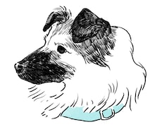 データ納品　シンプルな似顔絵イラストを描きます イメージ1