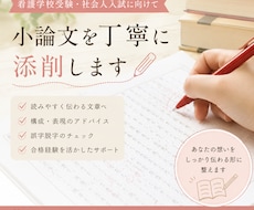 小論文の添削とアドバイスをします イメージ1