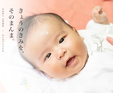 お子様の一生に一度の姿を素敵に残します 七五三受付開始　/100枚/h〜バリエーション豊富！