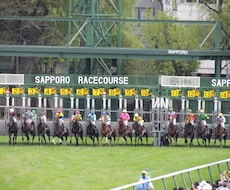 馬の獣医師が競走馬の馬体(能力)診断をします イメージ1
