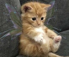 どんなお話でも親身になって聞かせていただきます イメージ1