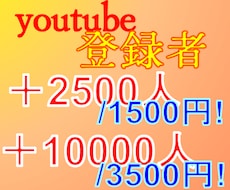 Youtubeのch登録を2500人分実行します ココナラ唯一のサービス！/実験,研究用途に！