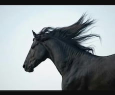 競馬渾身の一鞍予想します
