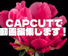 動画編集をします イメージ1