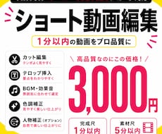 1分以内のショート動画3,000円で制作します ビジネス・美容・Vlogまで幅広く対応可能！