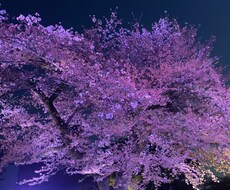 どんなことでも、あなたの味方になってお話を聞きます イメージ1