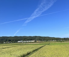 クスッとから笑わせます イメージ1