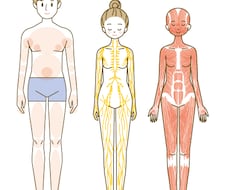 各種ポーズの細かい指示のある人物イラスト描きます 医療・介護・エステのポーズなど
