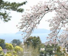 プロの心理士があなたのお悩みを聞きます イメージ1