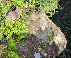 些細なことでもお話し相手になります イメージ1