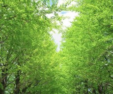心の相談、聞きます イメージ1