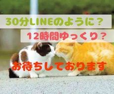 30分LINE感覚or半日ゆっくりチャットします
