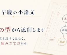 早慶の小論文を思考の型から添削します イメージ1
