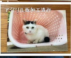 写真印刷して、アクリルパネルにします イメージ1