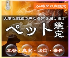 ペット霊視鑑定 虹の橋の大事な家族を霊視で視ます あの子が伝えたい言葉、伝えられなかった思いを私が代筆します。