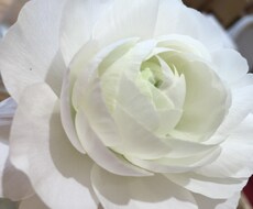 亡くなった方からのメッセージをお伝えします 天国からあなたへの手紙を受け取ってみませんか？
