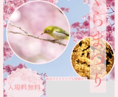 修正無制限！イベントなどな種類のチラシ制作承ります イメージ1