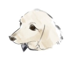お部屋を彩るペットのイラスト描きます 大切なワンちゃん、ネコちゃんを水彩画風にイラストに