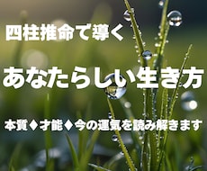 四柱推命で導く取扱説明書｜ブレない自分軸を教えます イメージ1