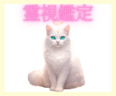 霊視鑑定であなたの悩みの原因を特定し、改善します